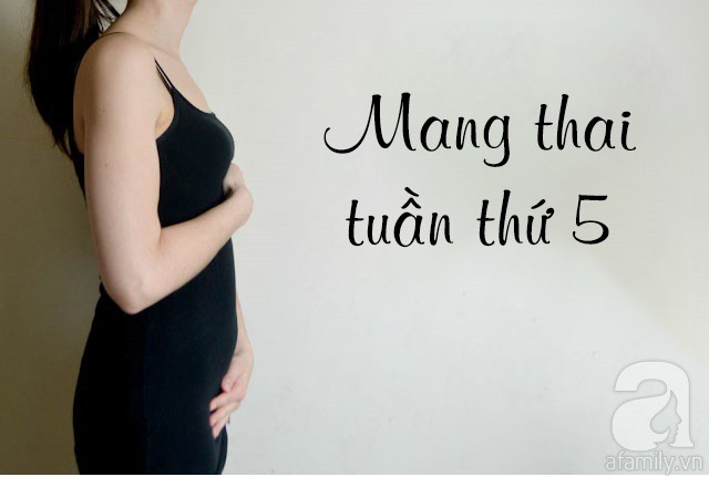 Mang thai tuần thứ 5: Em bé của bạn có kích thước chỉ như một hạt táo