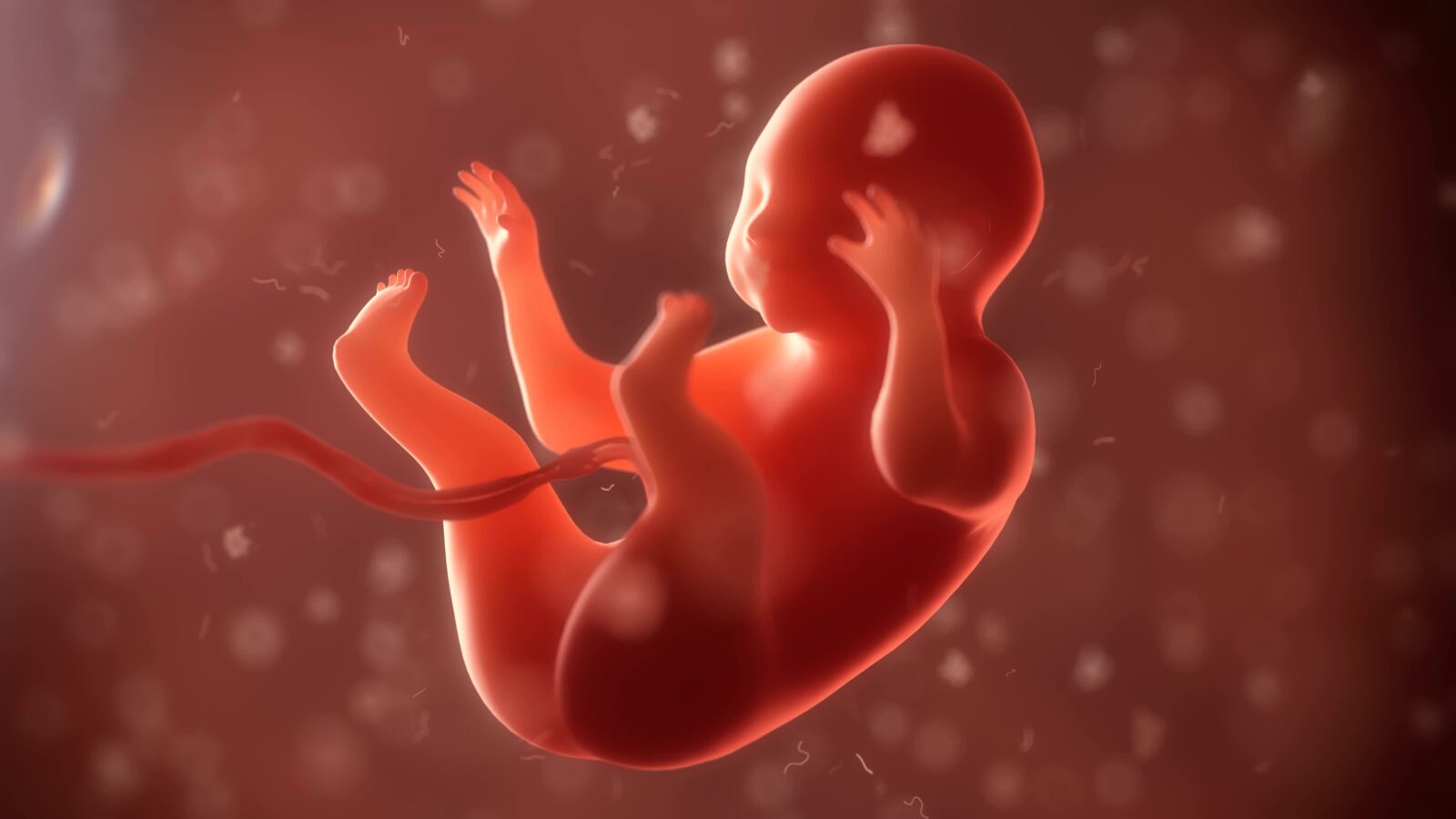 Mang thai tuần 1: Những thay đổi nhỏ của cơ thể cho biết bạn đã có tin vui