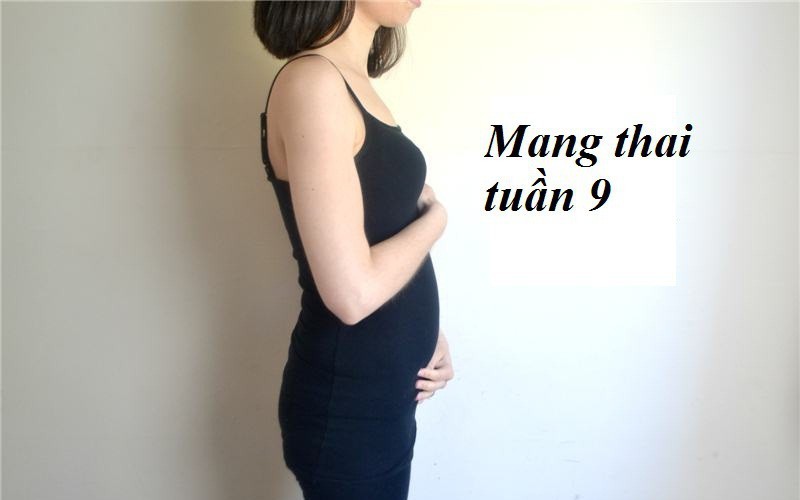Mang thai tuần 9: Em bé không còn là phôi thai mà đã chính thức là một thai nhi