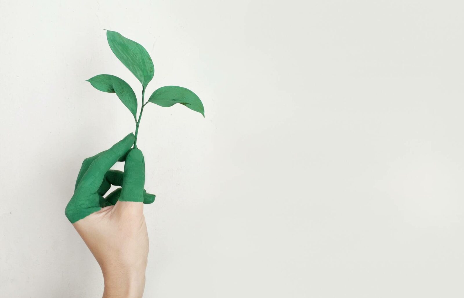 Bà đỡ và Cuộc sống – 9 lời khuyên để trở nên xanh và hỗ trợ các ngành công nghiệp bền vững
