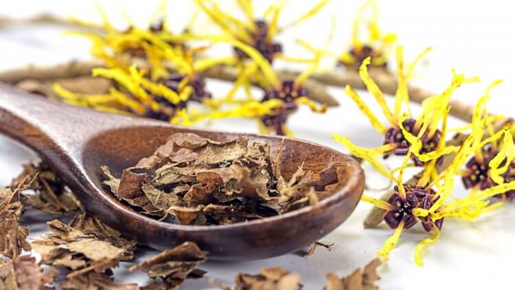 Witch Hazel What Is It Where Do I Put It And What Does It Do for you post by Mama Natural 750x422 1
