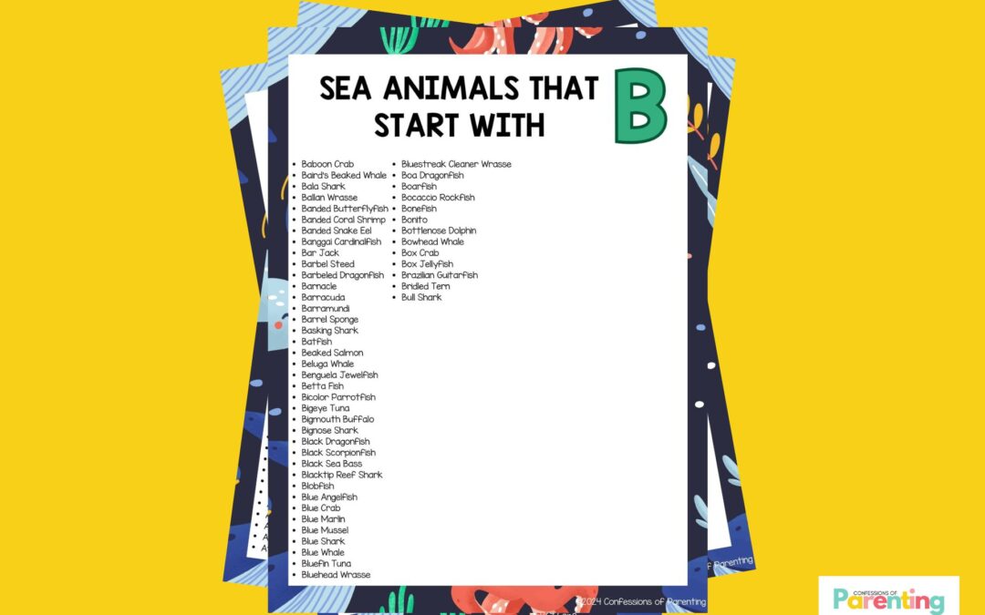 51 loài động vật biển vui nhộn bắt đầu bằng chữ B [Plus Facts]