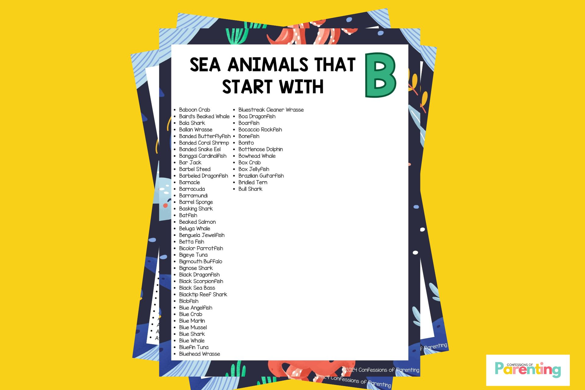 Sea Animals That Start With B.jpg