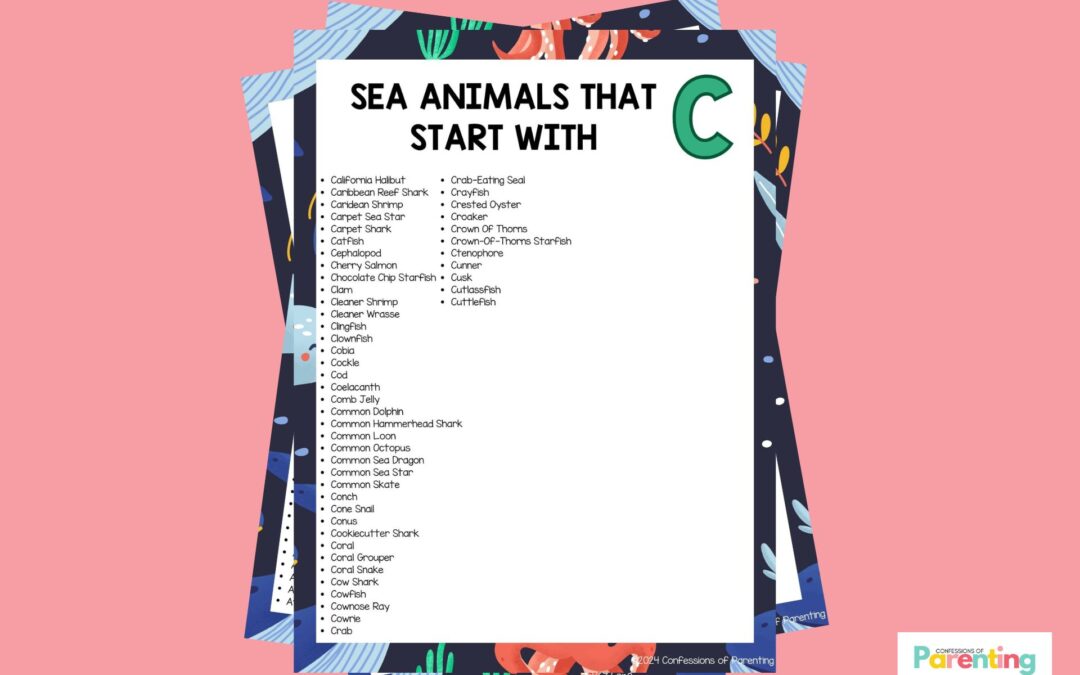 49 loài động vật biển vui nhộn bắt đầu bằng chữ C [Plus Facts]