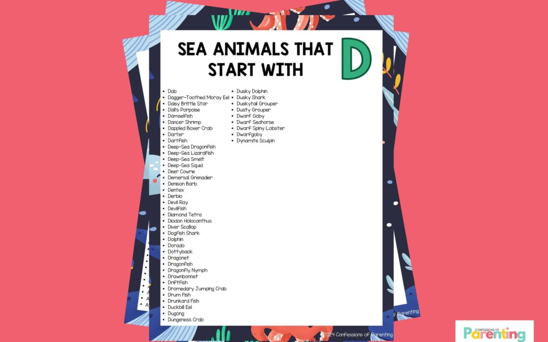 47 loài động vật biển vui nhộn bắt đầu bằng chữ D [Plus Facts]