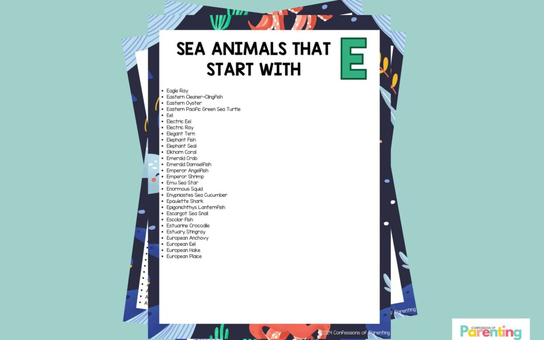 28 loài động vật biển vui nhộn bắt đầu bằng chữ E [Plus Facts]
