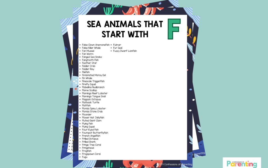 41 động vật biển vui nhộn bắt đầu bằng F [Plus Facts]