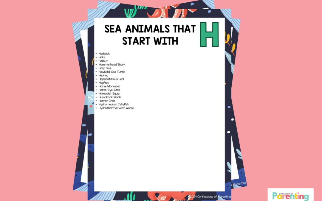 16 loài động vật biển vui nhộn bắt đầu bằng chữ H [Plus Facts]
