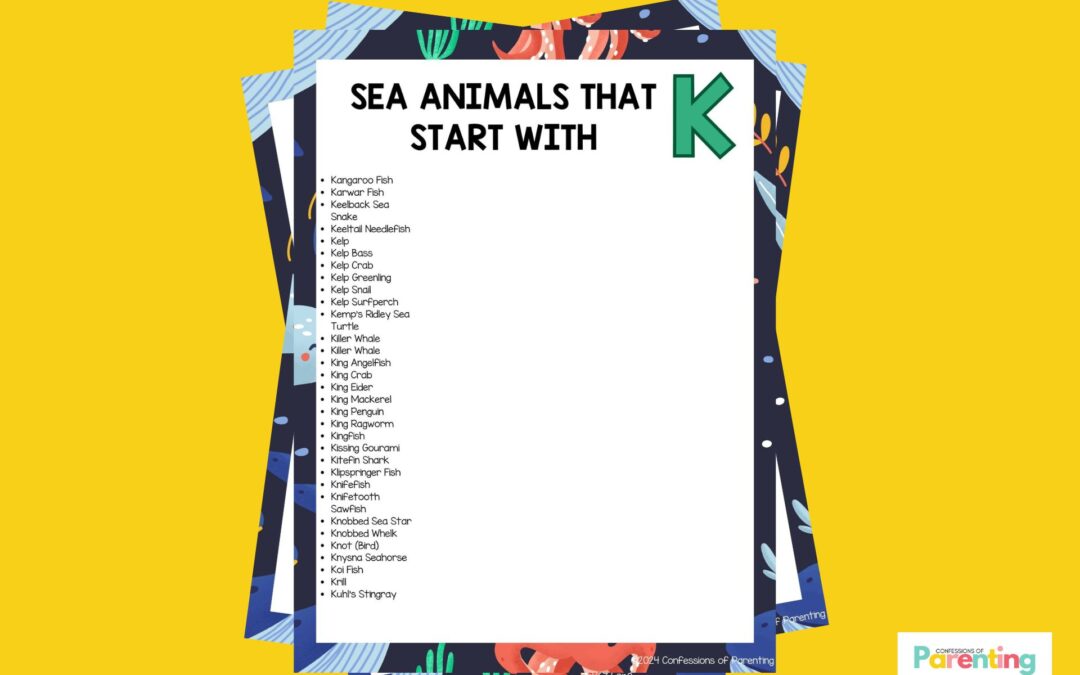 32 loài động vật biển vui nhộn bắt đầu bằng chữ K [Plus Facts]