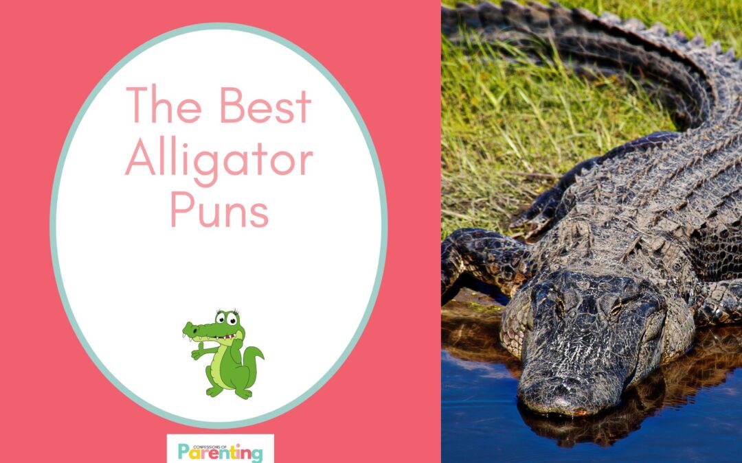 Hơn 70 câu chơi chữ hay nhất về cá sấu mang lại tiếng cười