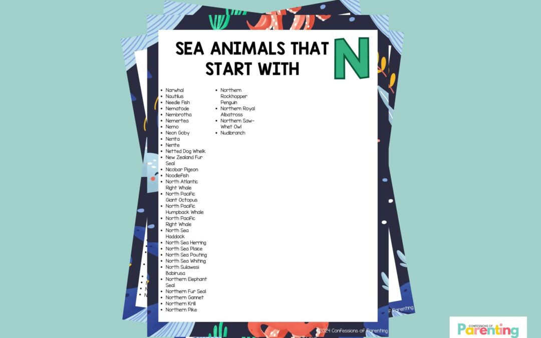 33 loài động vật biển vui nhộn bắt đầu bằng chữ N [Plus Fun Facts]