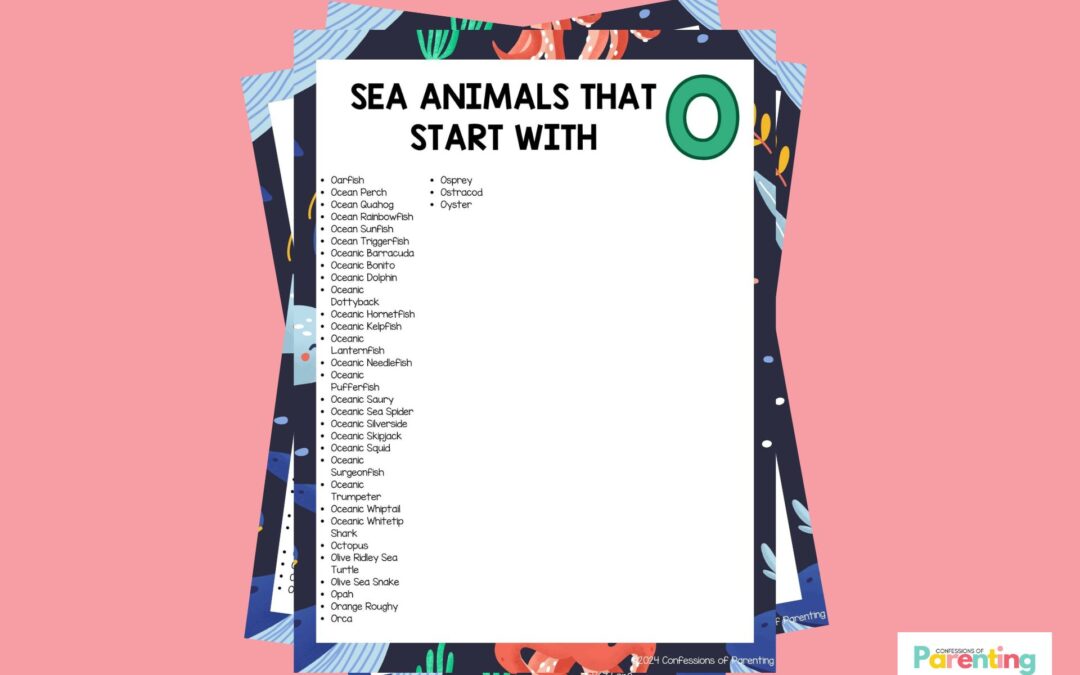 33 loài động vật biển vui nhộn bắt đầu bằng chữ O [Plus Fun Facts]