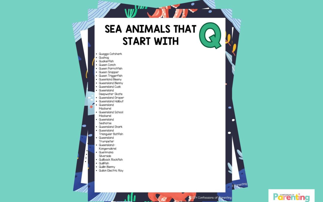 25 loài động vật biển vui nhộn bắt đầu bằng Q [Plus Facts]