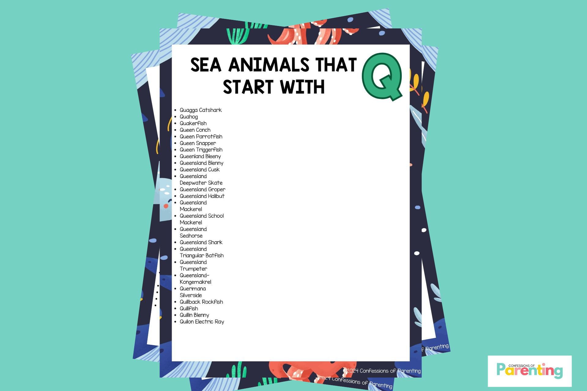 Sea Animals That Start With Q.jpg