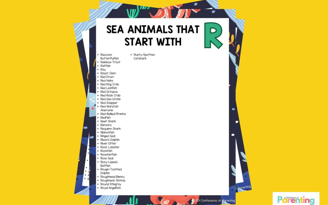 34 loài động vật biển vui nhộn bắt đầu bằng R [Plus Facts]