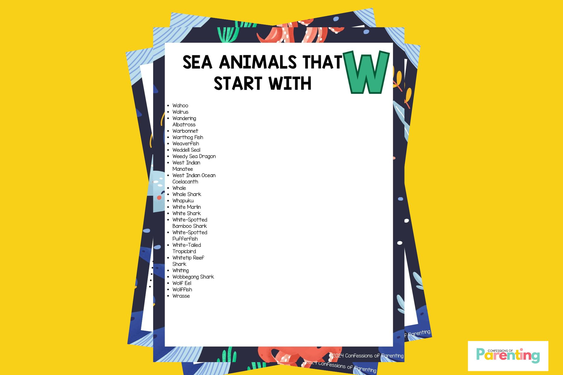 24 loài động vật biển vui nhộn bắt đầu bằng chữ W [Plus Facts]