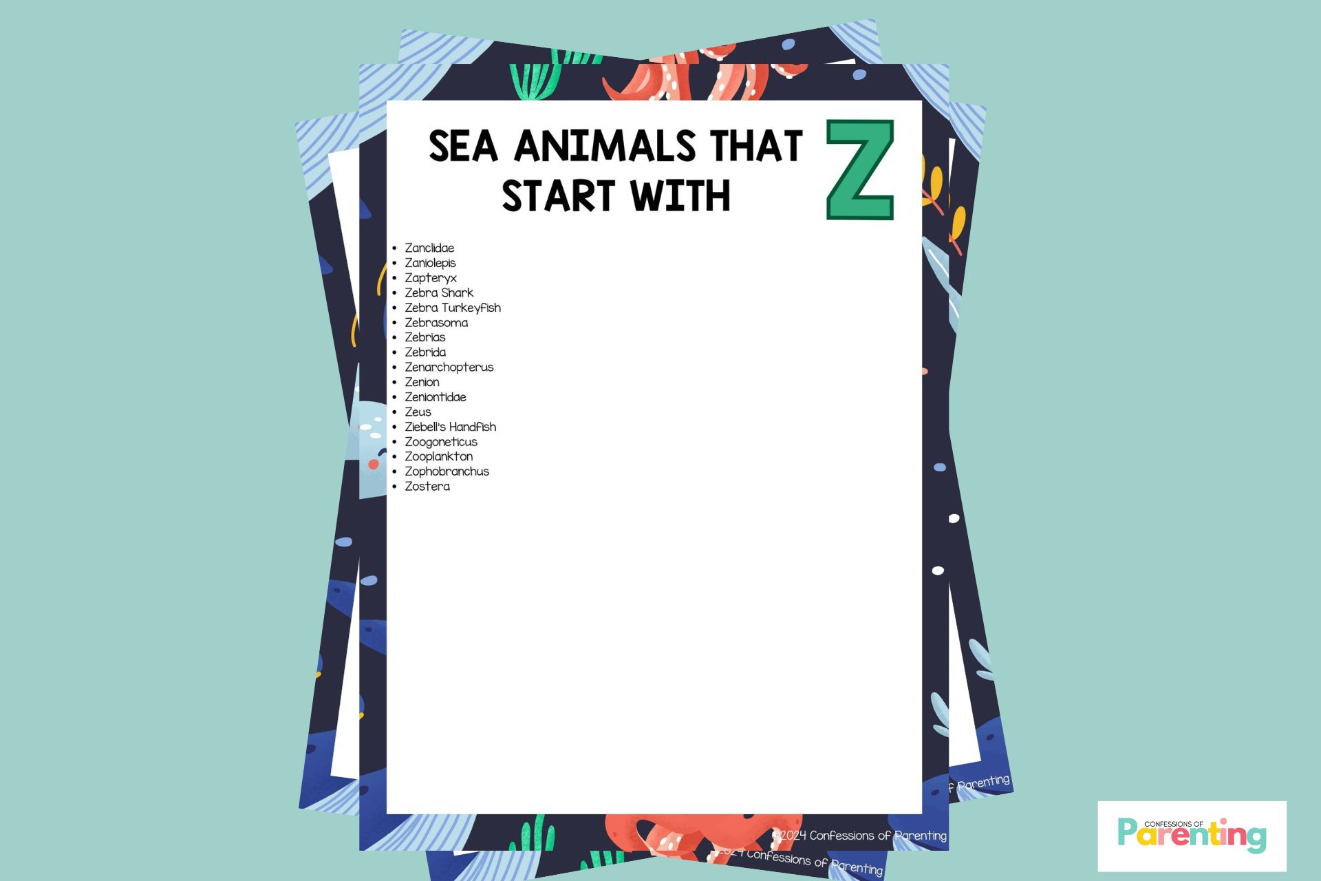 17 loài động vật biển vui nhộn bắt đầu bằng chữ Z [Plus Facts]
