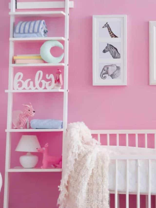 cropped Baby bedroom with pictures of animals.jpg