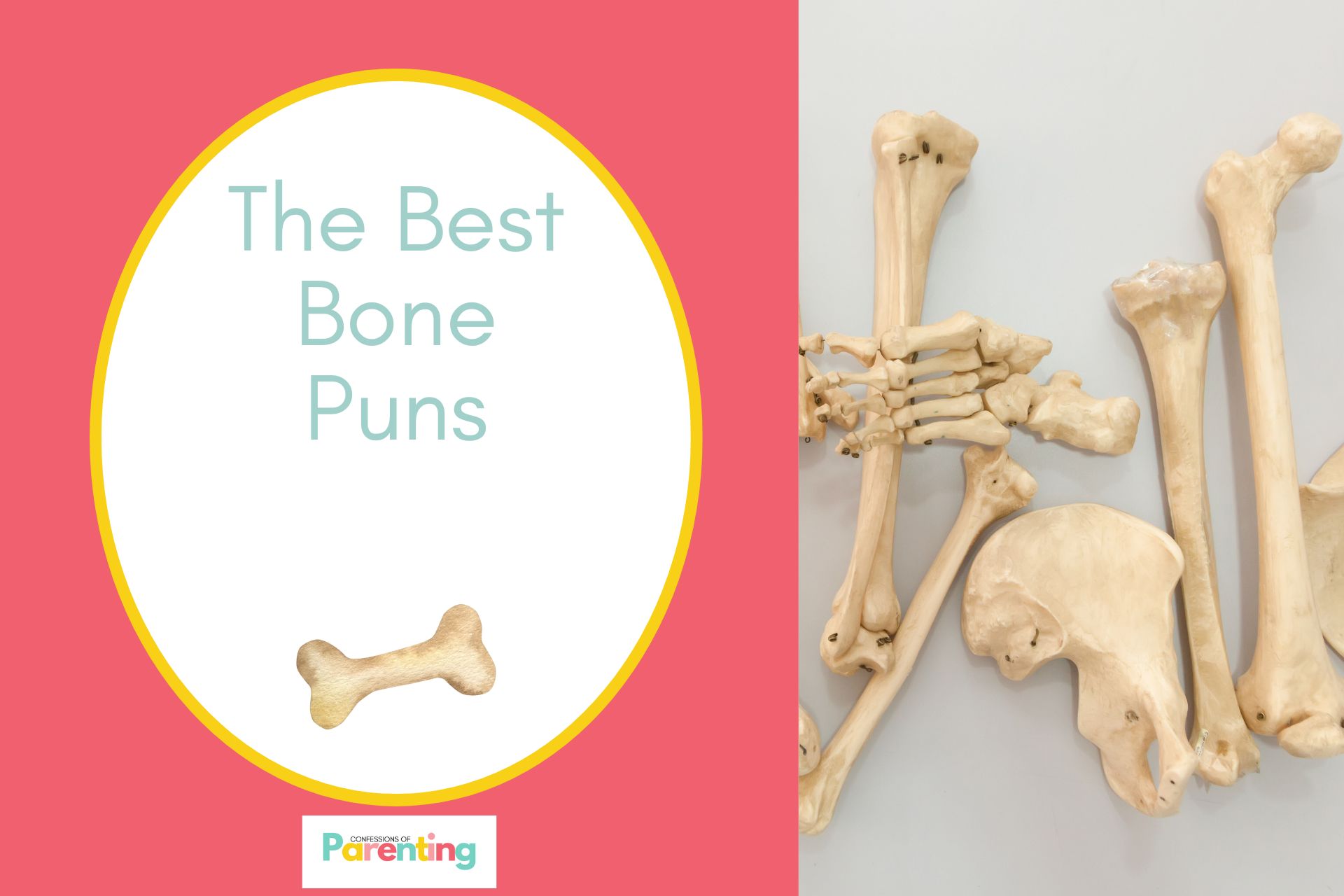 bone puns.jpg